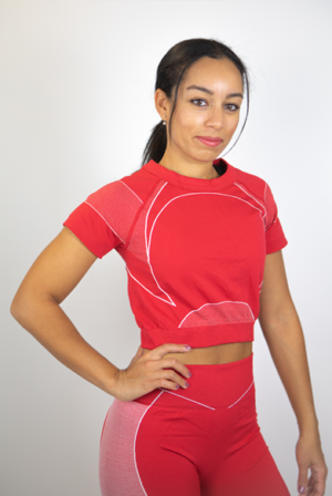 Womens 2-piece Crop Top And Legging Seamless Set